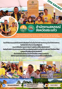 โครงการปกป้องและเชิดชูสถาบันพระมหากษัตริย์ ... พารามิเตอร์รูปภาพ 1